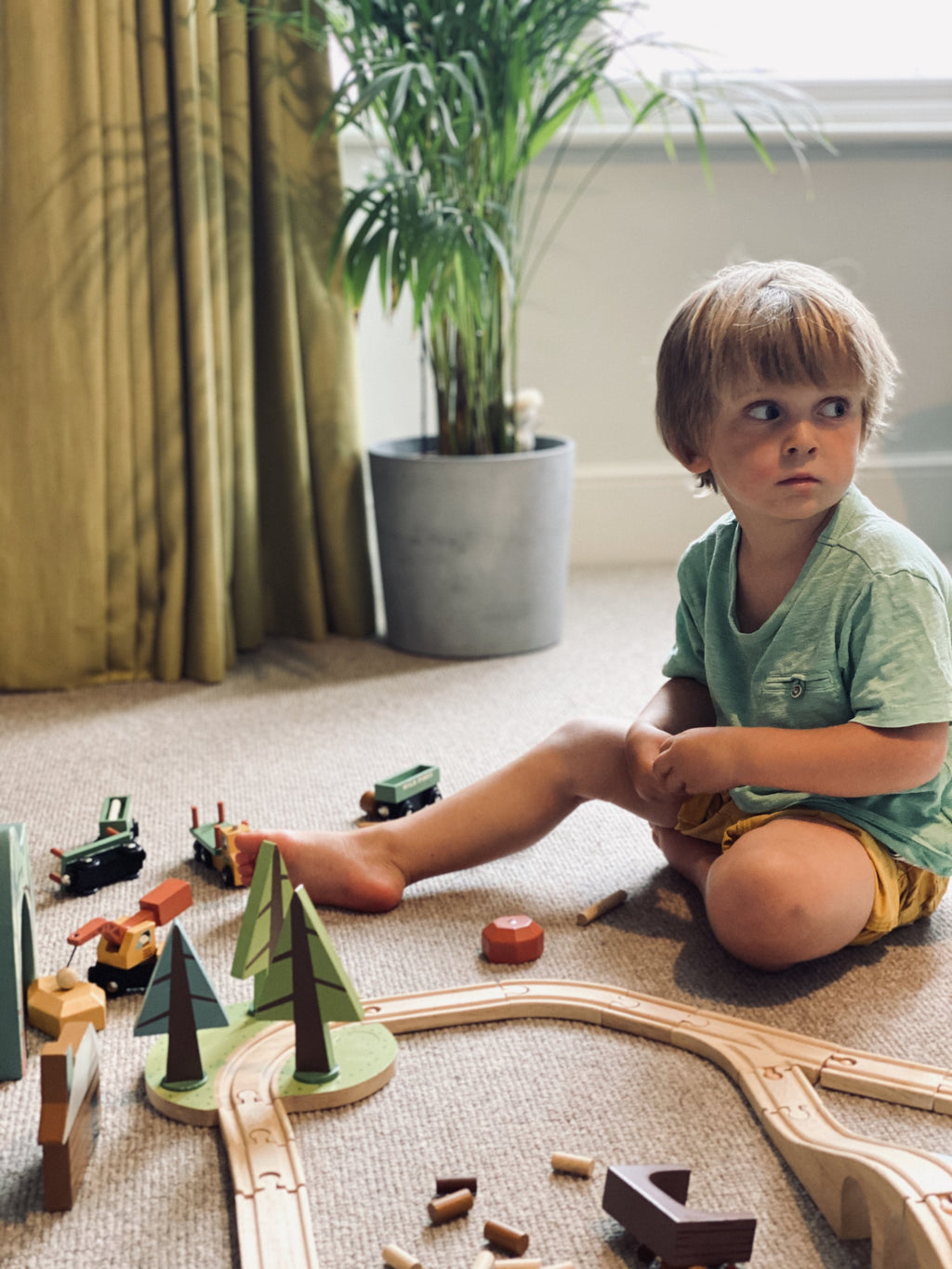 Wild Pines Train Set